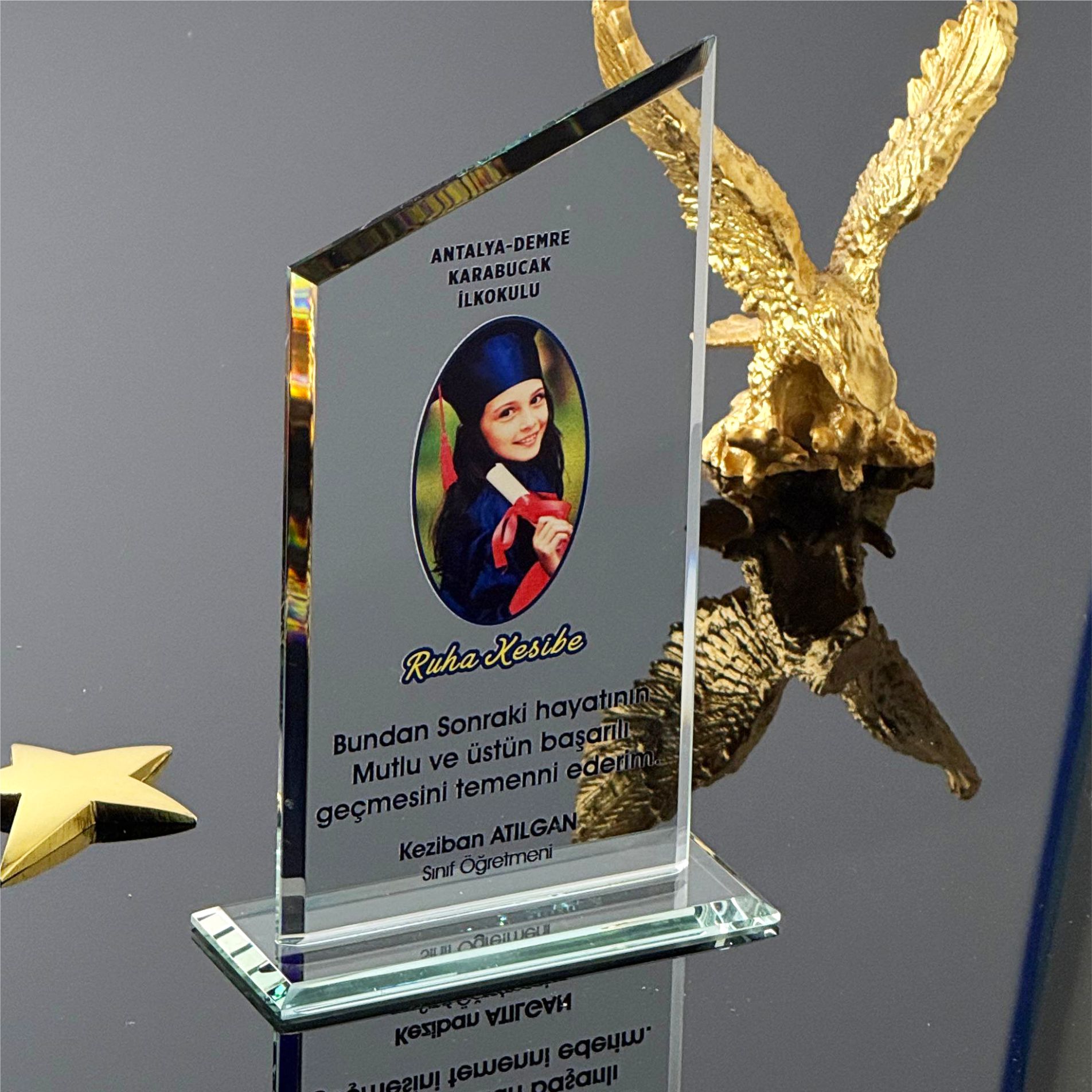 P106 Kristal Cam Plaket