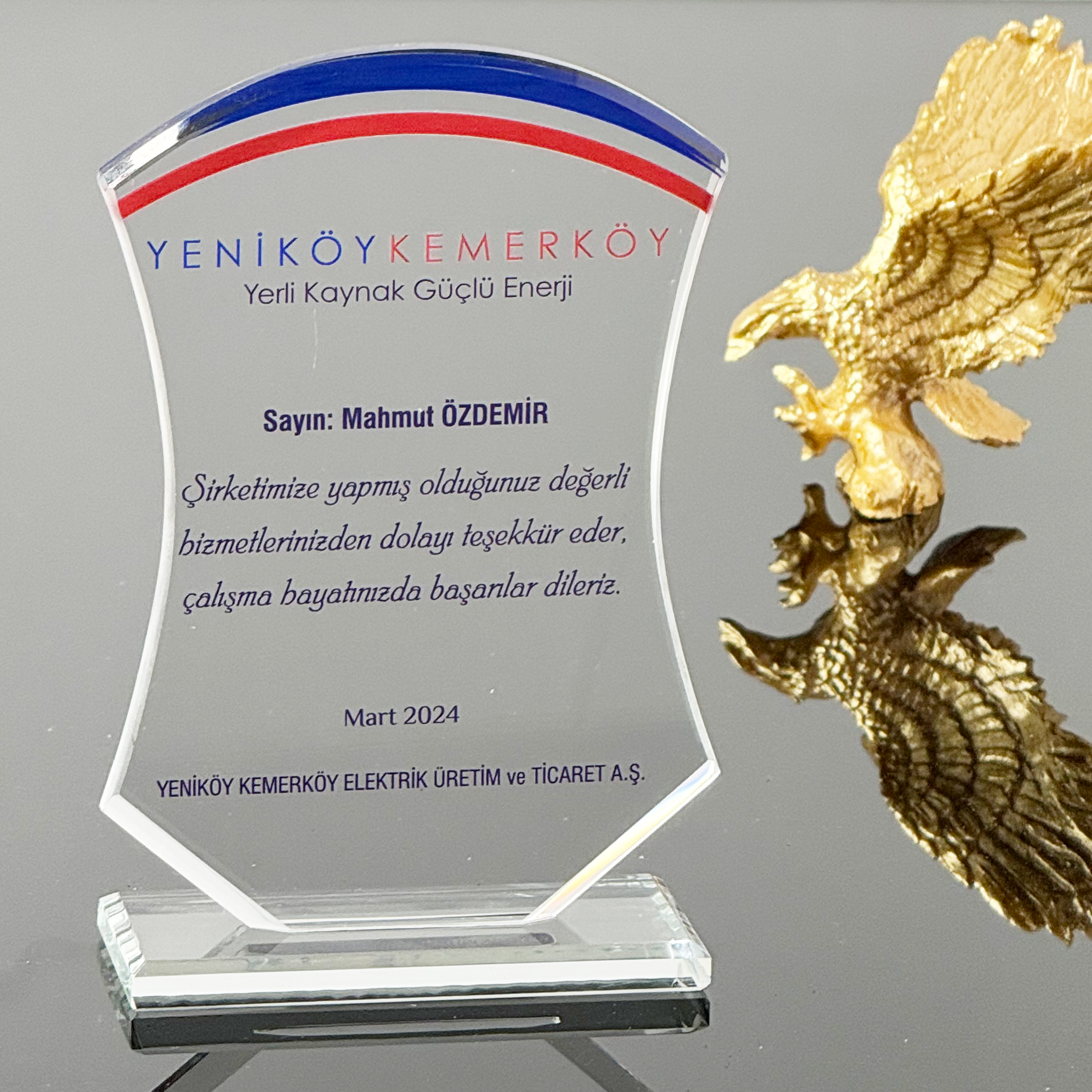 P321 Kristal Cam Plaket