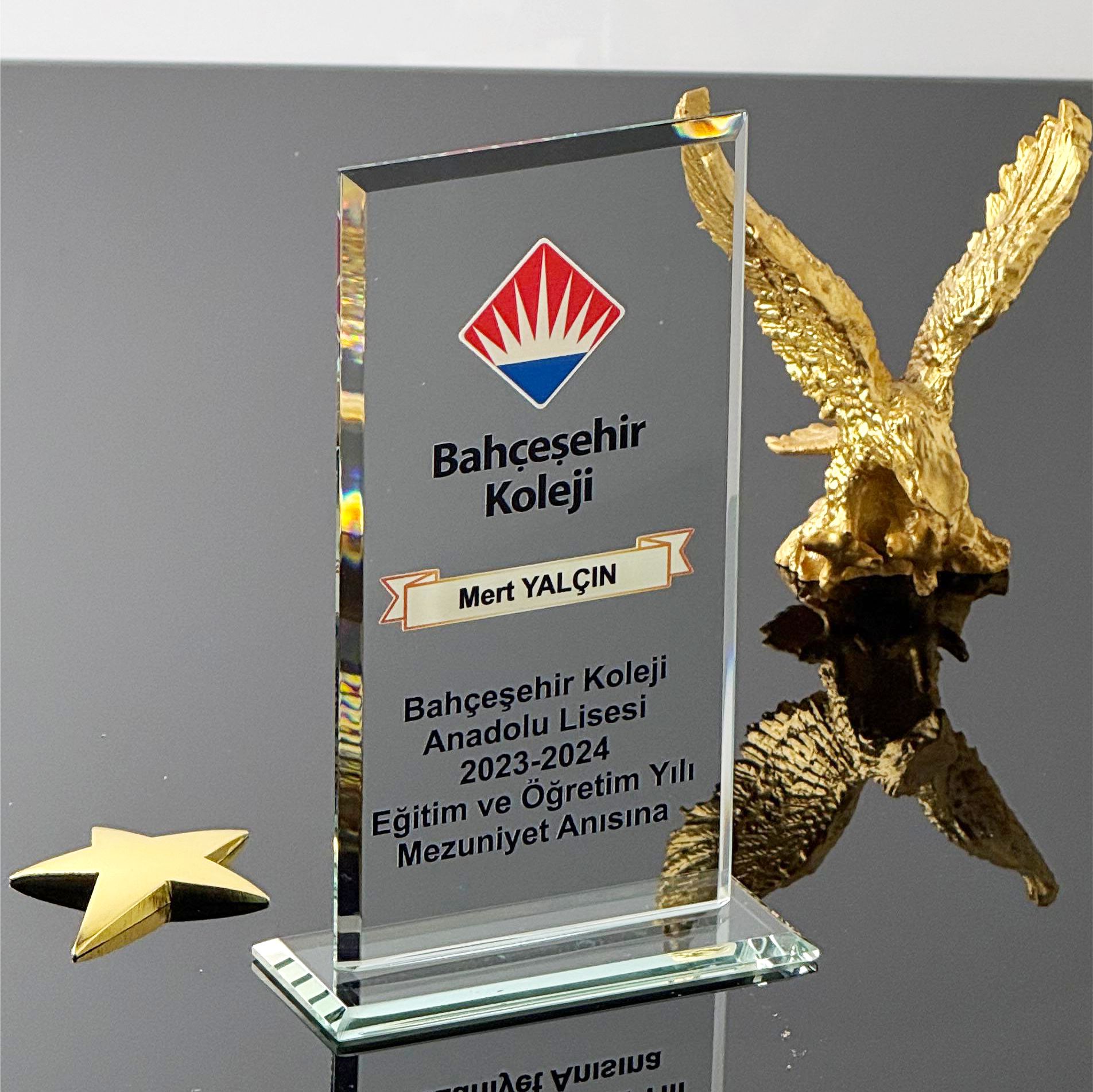 P108 Kristal Cam Plaket