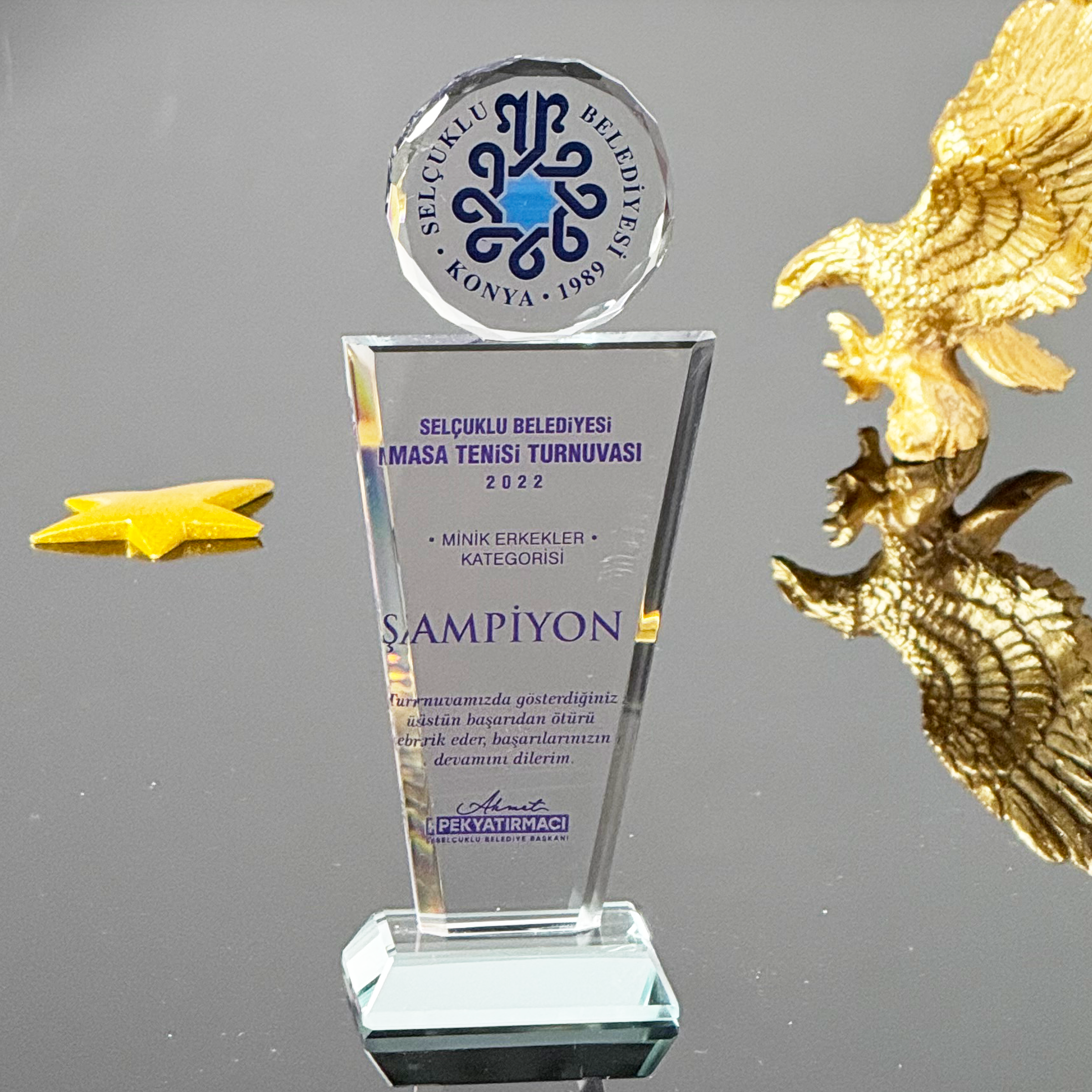 P229 Kristal Cam Plaket