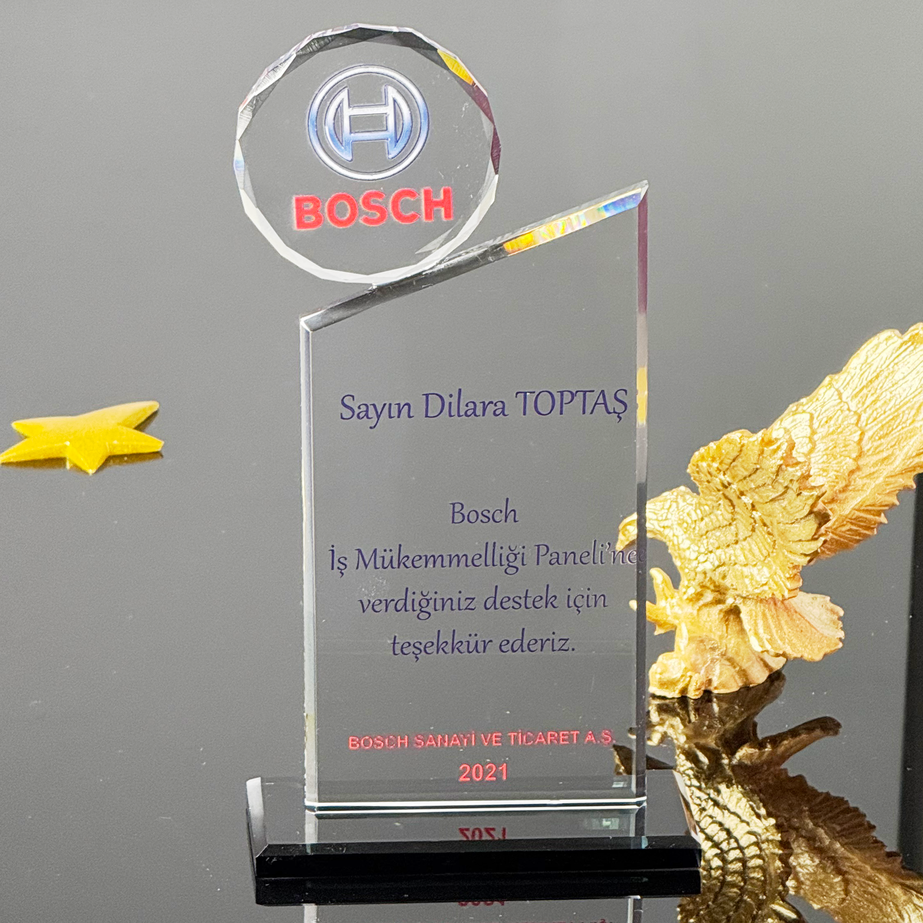 P248 Kristal Cam Plaket