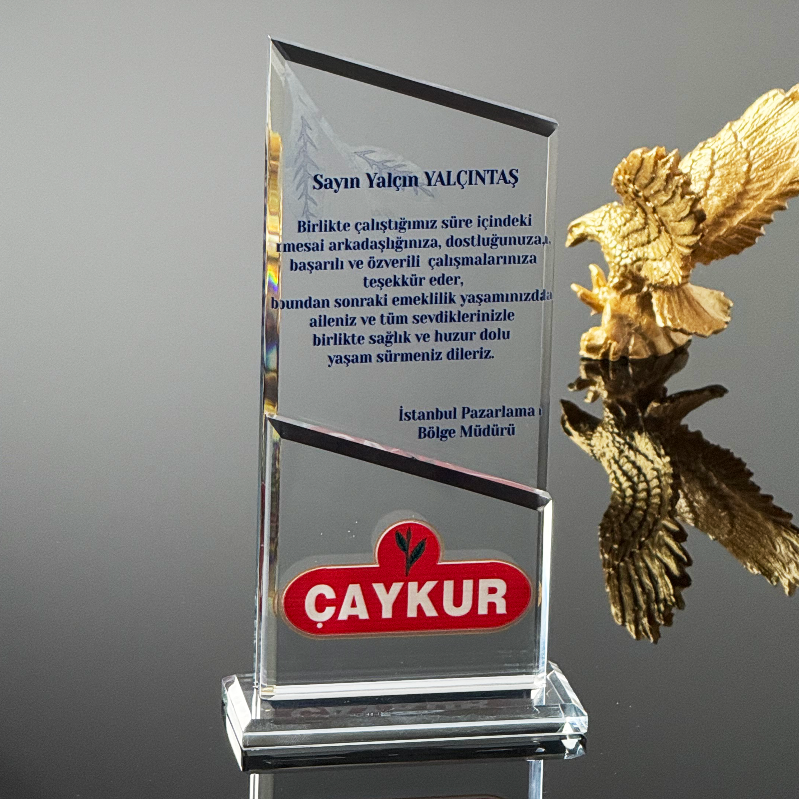 P272 Kristal Cam Plaket