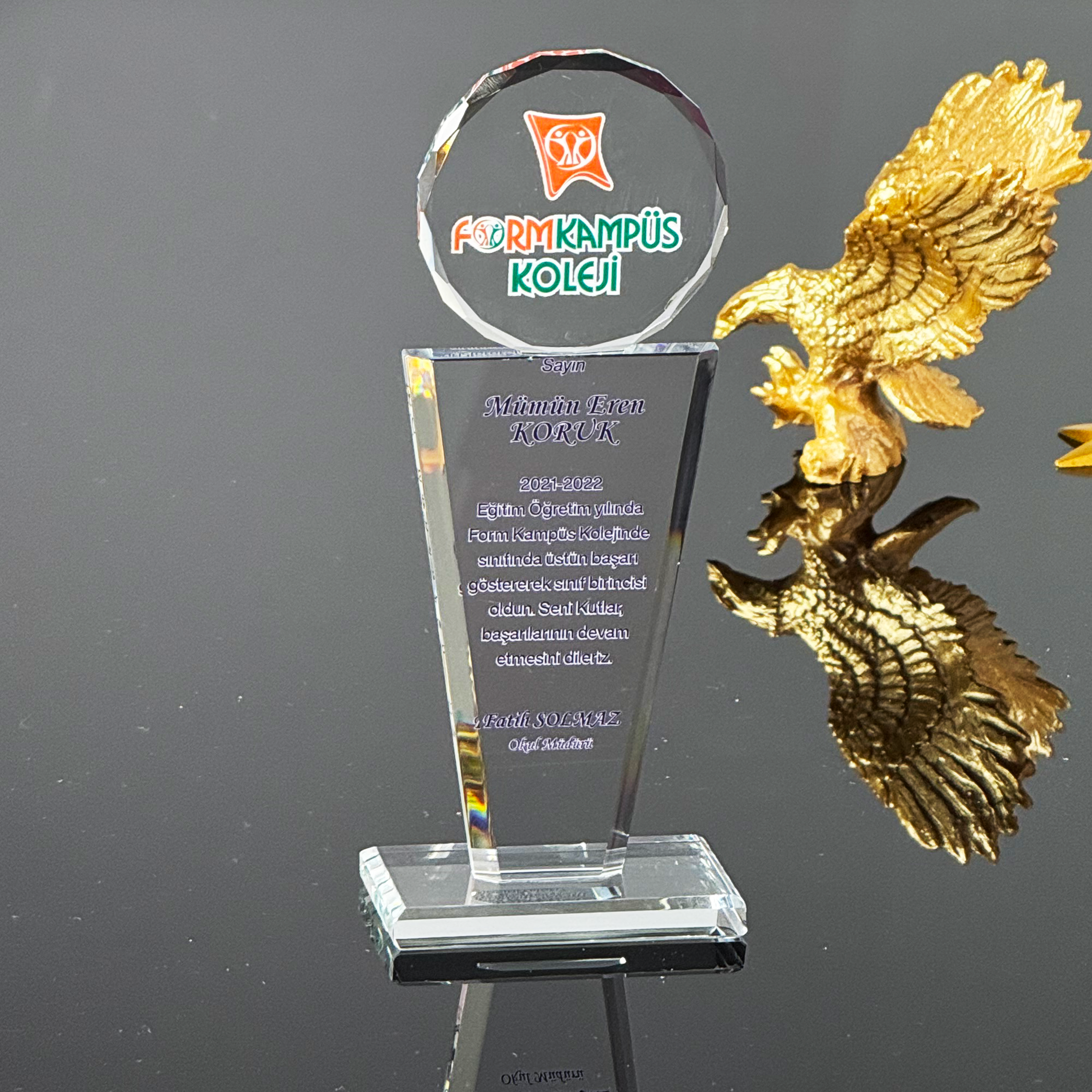 P301 Kristal Cam Plaket